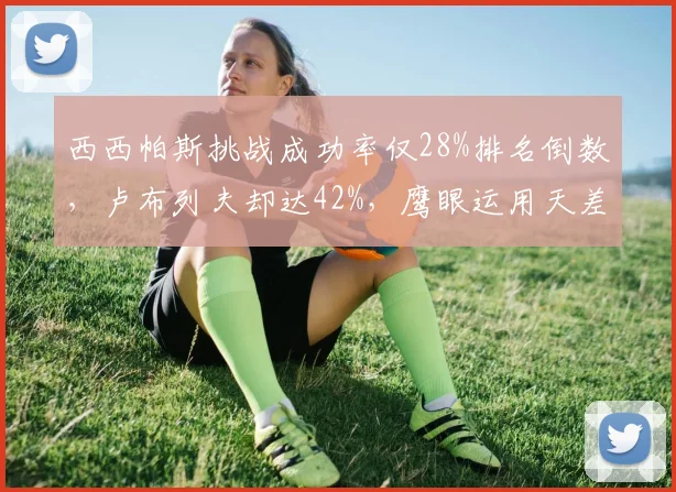 西西帕斯挑战成功率仅28%排名倒数,卢布列夫却达42%,鹰眼运用天差地别